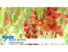 寧夏兩會關注數字農業，構建鄉村振興的數字藍海